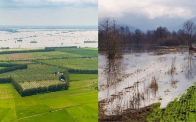 Weather AI Businesses in Japan Deliver Real-Time Alerts to Thailand and Vietnam